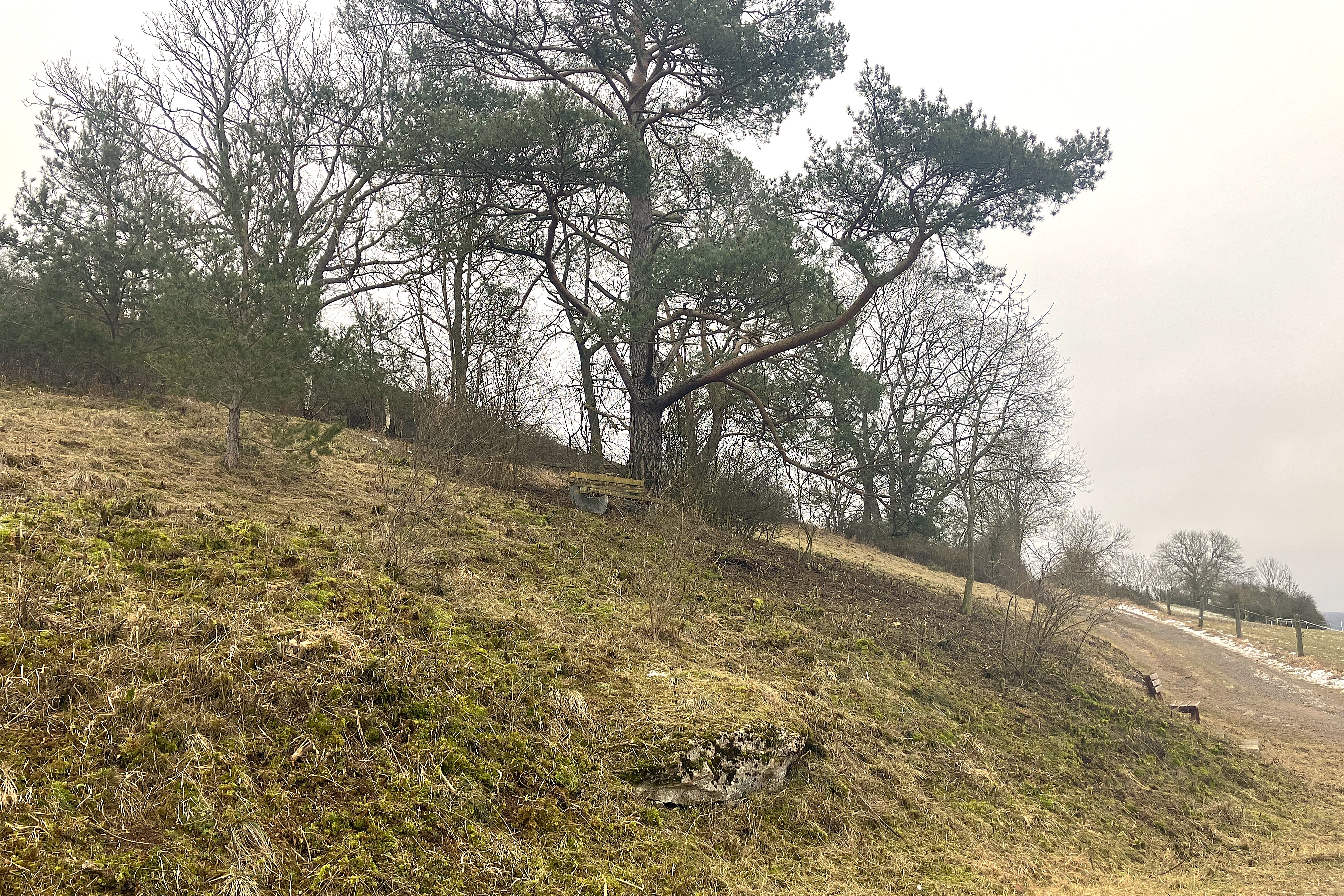 Aufm Springelsberge nachher (2024)