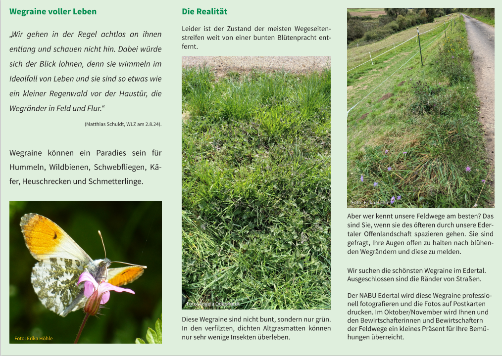 Flyer Wegraine im Edertal