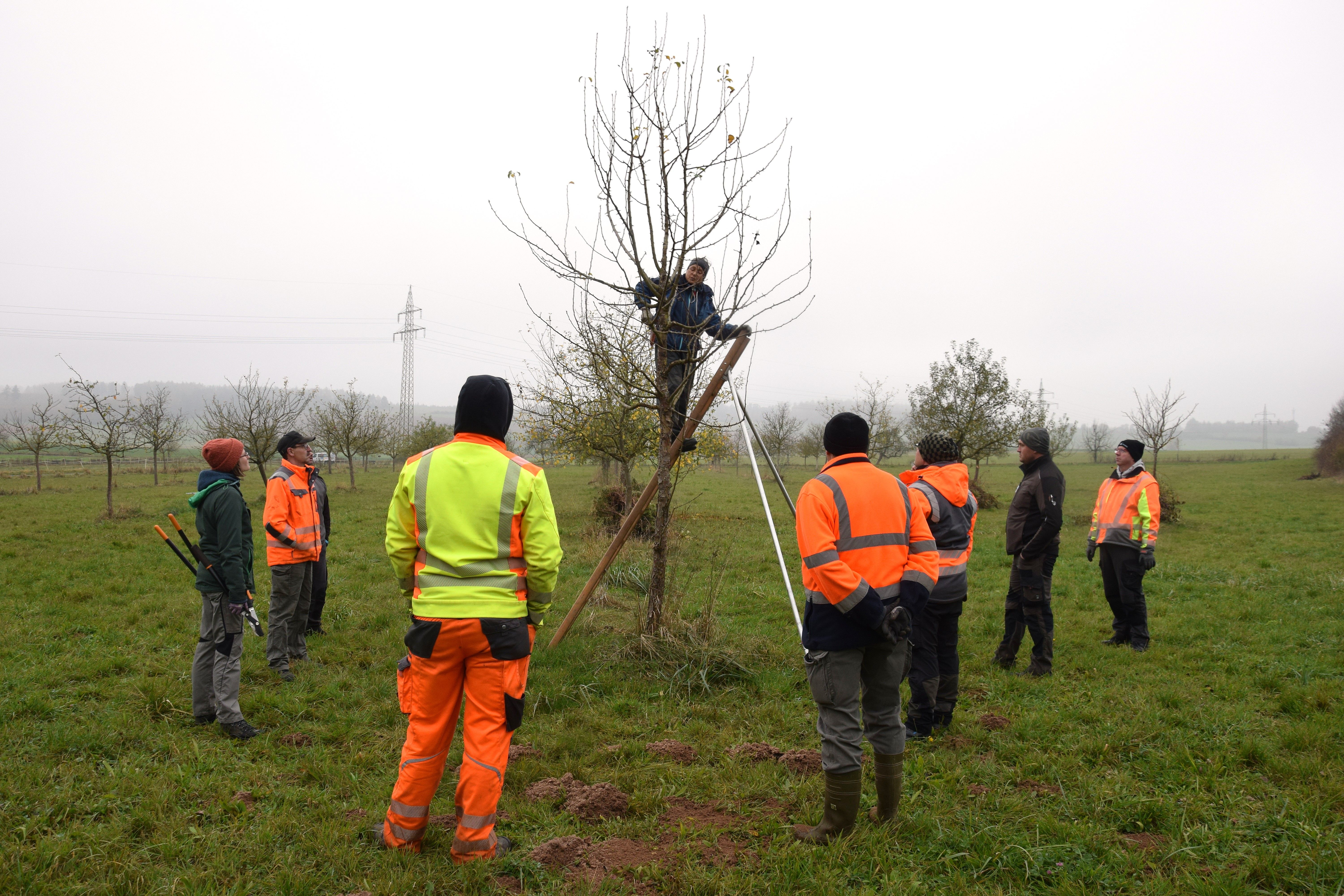 Schnittkurs am 06.11.2024 in Korbach-Meineringhausen