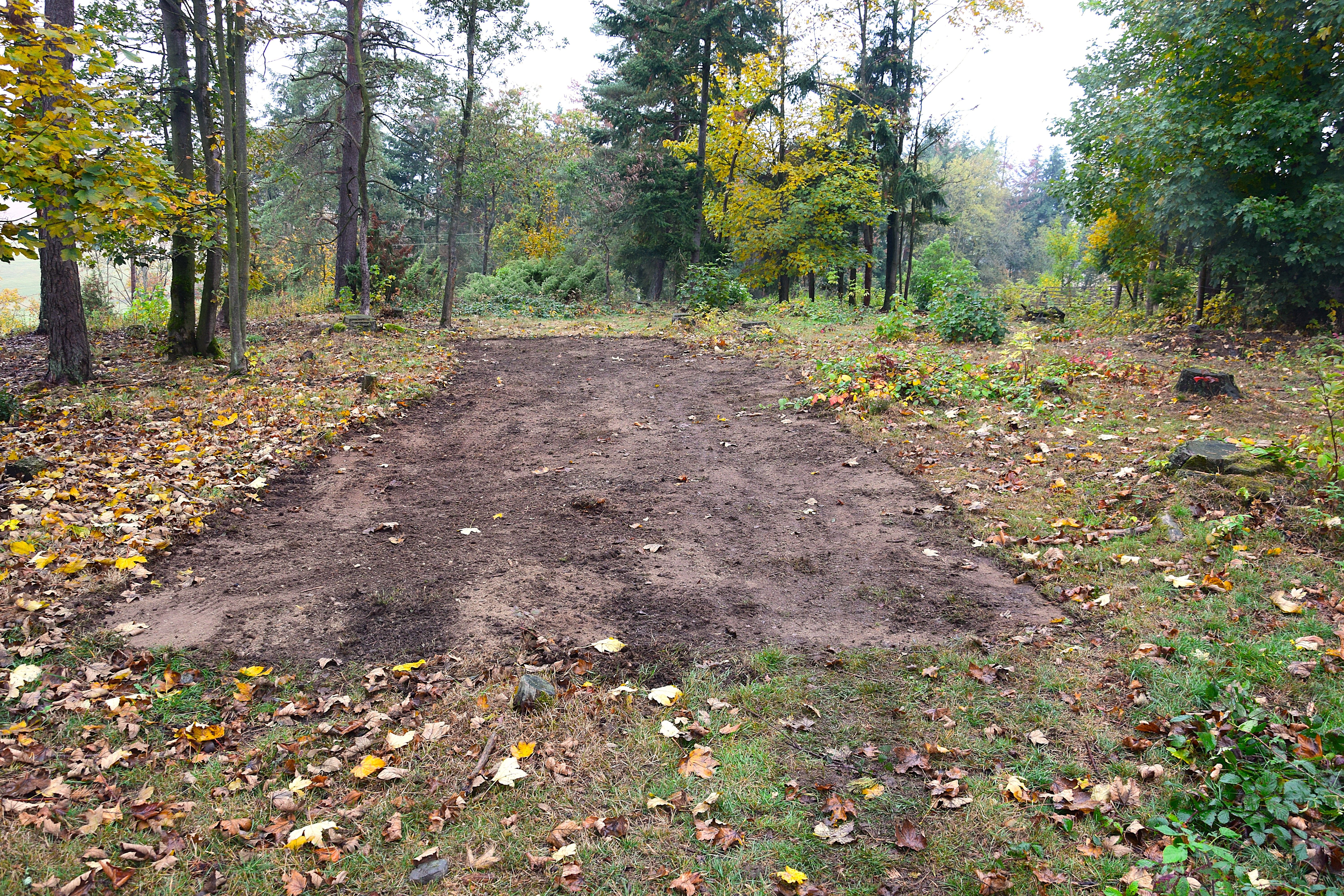 Heide plaggen am Mittelberg (2019)