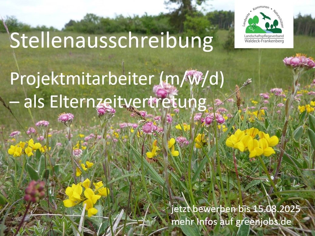 Stellenausschreibung Elternzeitvertretung